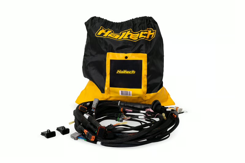 Nexus Rebel LS Terminated Harness for Nexus Rebel LS ECU