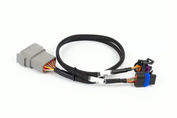 Nexus Rebel LS - Cable Throttle + IAC sub-harness – Bild 2