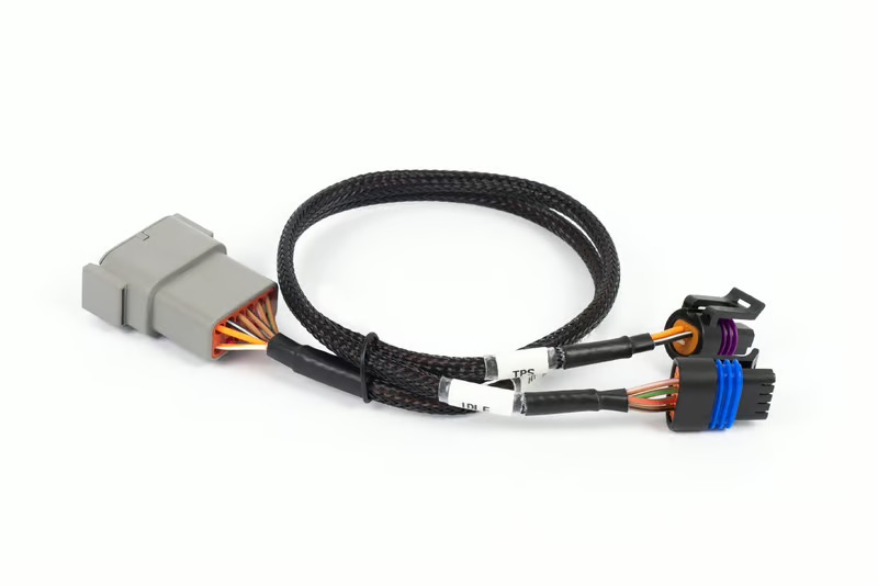 Nexus Rebel LS – Cable Throttle + IAC sub-harness