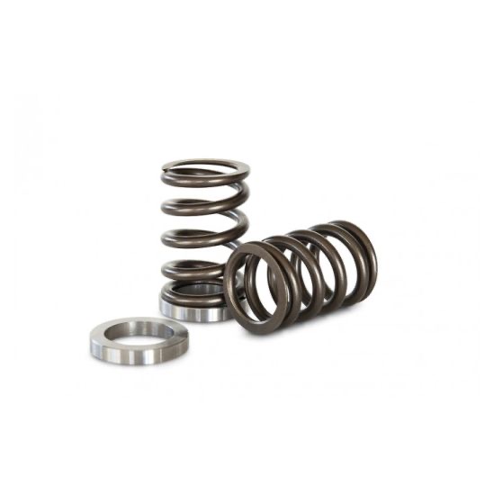 Kelford Nissan RB25 Race Spring and Seat Set