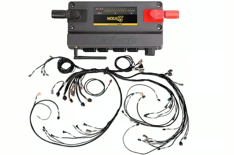 Nexus R5 + LSx Non DBW Terminated Harness