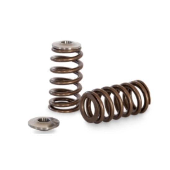 Kelford RB25DET NEO Beehive Spring | Titanium Retainers