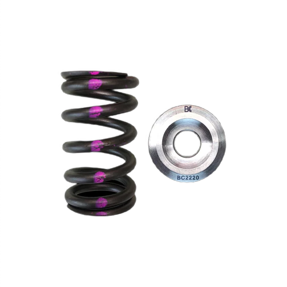 Titan Halterungssatz BC Brian Crower BC0260 Nissan QR25DE
