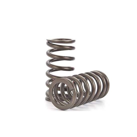 Nissan SR20 Valve Spring Kit