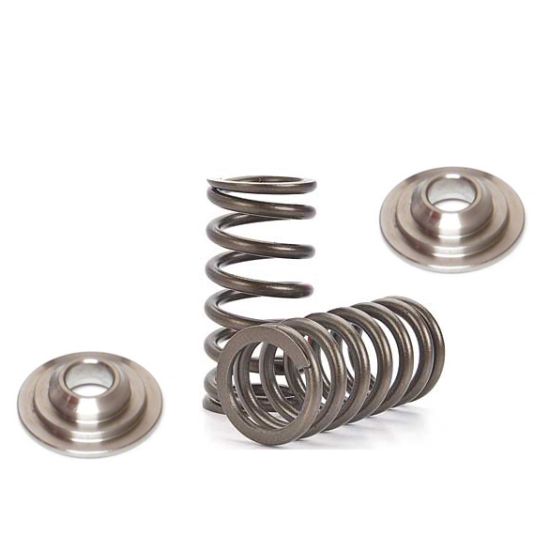 Nissan CA18 Valve Spring & Ti-Retainer Kit